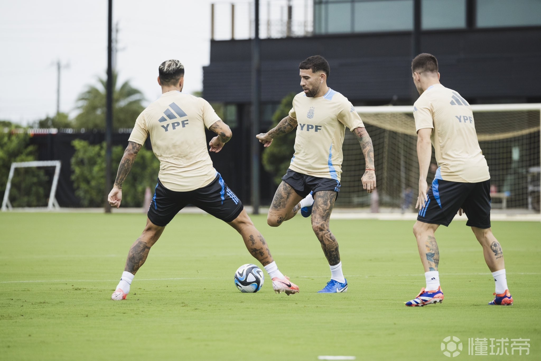 阿根廷备战欧洲比赛,全队备战 阿根廷备战欧洲比赛,全队备战