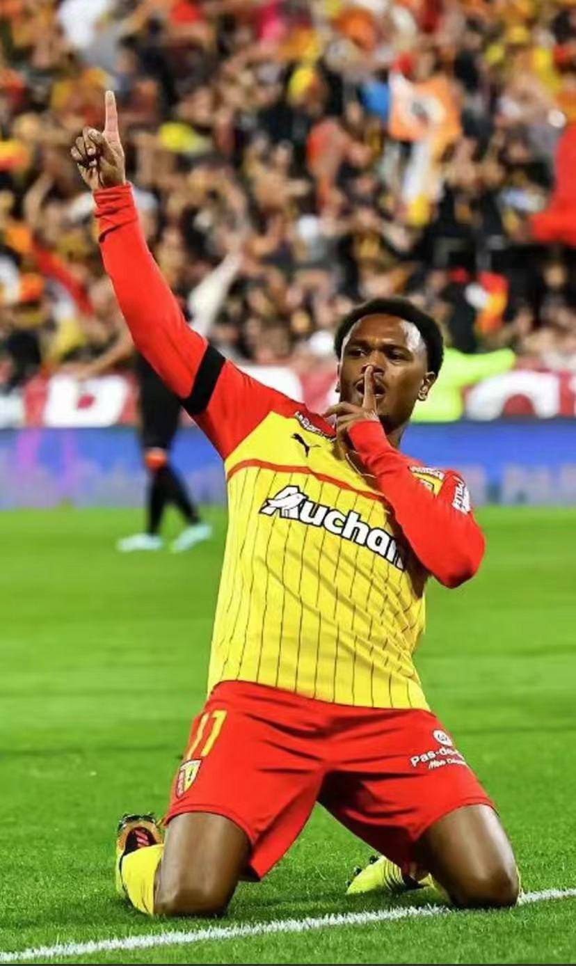 利记-奥地利队奋力拼搏，成绩斐然